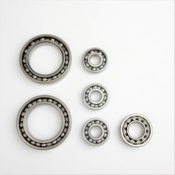 3990-6004.jpg
