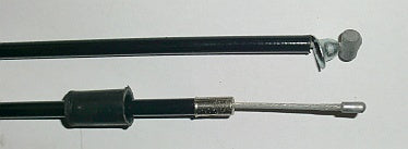 BZ0007.jpg