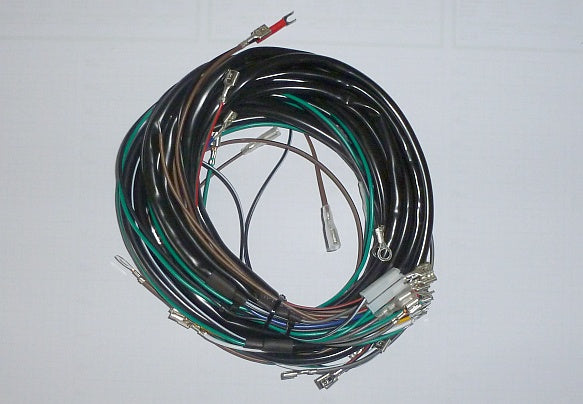 Z0050.jpg